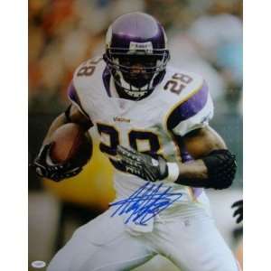 Adrian Peterson Autographed Picture   16X20 JSA   Autographed NFL 