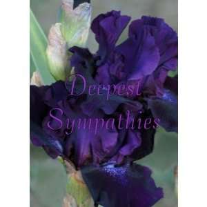  Dark Purple Iris Sympathy Card  customize Health 
