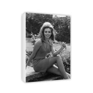  Martha Hyer   Canvas   Medium   30x45cm