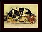 Picture Print English Springer Spaniel Puppy Dog Art
