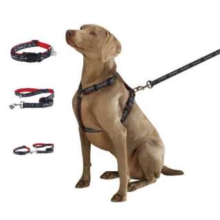 of our exclusive Bad to the Bone Collars, Lead & Harnesses lets dogs 