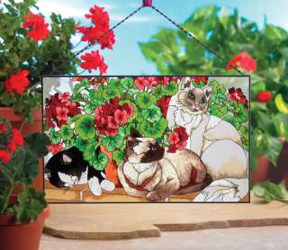 CATS WITH GERANIUMS * SIAMESE ANGORA PERSIAN CAT FLOWERS 16x10 GLASS 