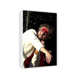  Wayne Coyne   Canvas   Medium   30x45cm