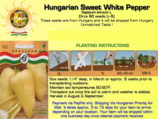 HUNGARIAN SWEET WHITE PEPPER 60 PCS VEGETABLE HEIRLOOM SEEDS FROM 