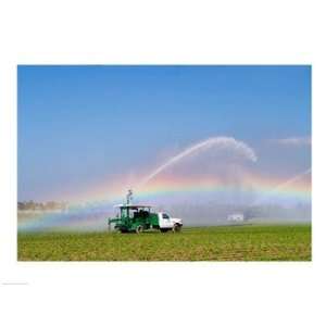 com Rainbow seen under the spray from sprinkler in a vegetable field 