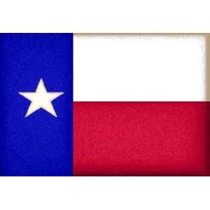 TEXAS Flag Tapestry Placemats (Set of 4) 