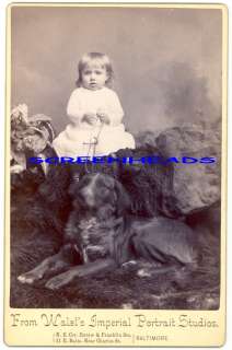 CUTE YOUNG CHILD LARGE SPORTING DOG CABINET CARD PHOTO  