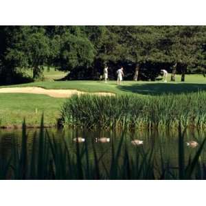  the 17th Hole of the Eastmoreland Golf Course, Portland, Oregon, USA 