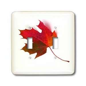  Yves Creations Colorful Leaves   Fallen Rusty Maple Leaf 