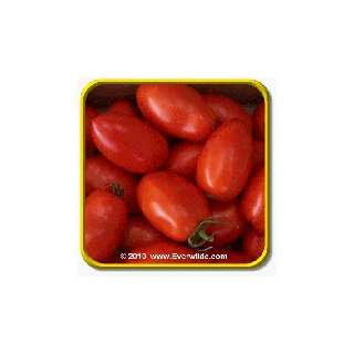  1 Lb Heirloom Tomato Seeds   Polish Paste Bulk Vegetable 