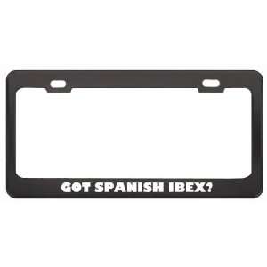 Got Spanish Ibex? Animals Pets Black Metal License Plate Frame Holder 