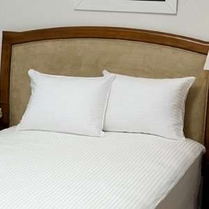  Regal Knights Outlast Smart Fabric Standard Pillows   2 pk 