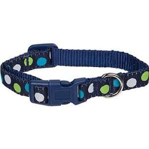   Wag a tude Turquoise Dot Dog Collar, Medium Pet 