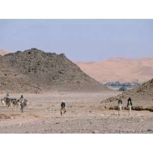  The Caravan Makes its Way Through the Desolate Sahara 