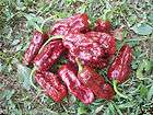 trinidad 7 pot 7 pod douglah 20 pepper seeds  