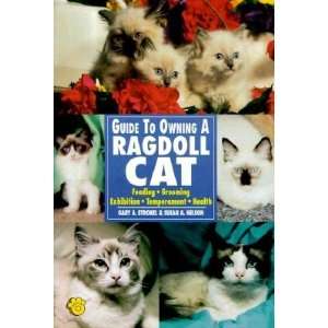  Guide to Owning a Ragdoll Cat [GT OWNING A RAGDOLL CAT 