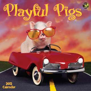 Playful Pigs 2012 Wall Calendar 9781617760334  