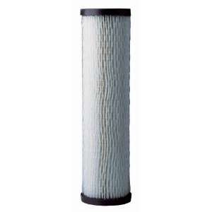  Pentair Pleated Paper Whole House Replacement Cartridge 