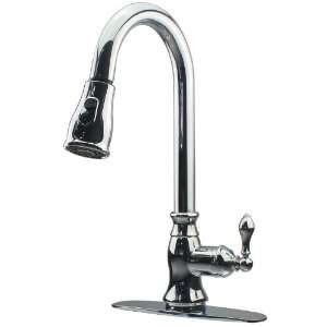   Handle Chrome Kitchen Faucet with Pull Down Spout