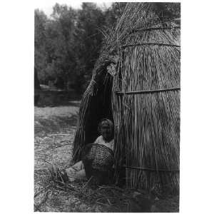  Construction of a tule shelter  lake Pomo