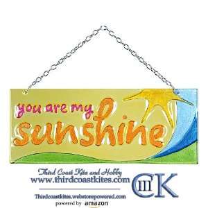  Premier Designs Glass Expression   My Sunshine Toys 