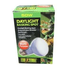   50 Watt Daylight Basking Terrarium Bulb from Exo Terra