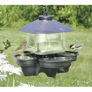  Bird Water Cooler with Roof