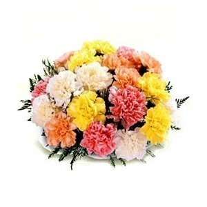    Multi Colored Carnations Fresh Flower Bouquet