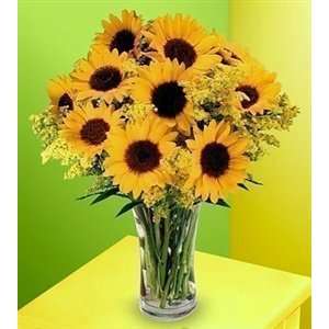    Glorious Sunflower Bouquet   Fresh Flowers