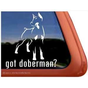  Got Doberman? Dog Vinyl Window Decal Sticker Automotive