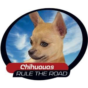    Chihuahua One Way Vision Window Covering Pet Tatz 