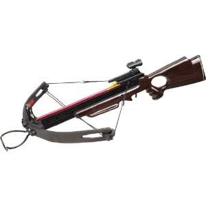  150 LBS COMPOUND CROSSBOW/WOODEN HANDLE